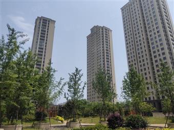 汤锦园