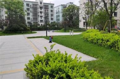 老殿后锦园