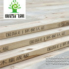树香门第项目正式全面启动！